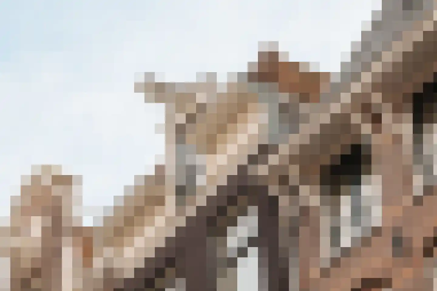 Tweede Boomdwarsstraat 10 Amsterdam thumbnail 6