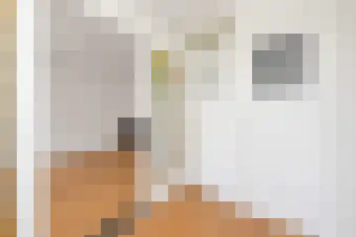 Tweede Boomdwarsstraat 17 1 Amsterdam thumbnail 11