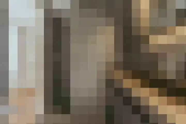 Tweede Boomdwarsstraat 6 G Amsterdam thumbnail 18