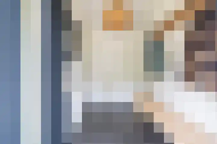 Tweede Compagnonsweg 4 Bontebok thumbnail 11