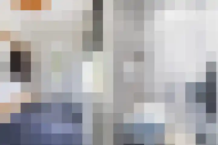 Tweede Compagnonsweg 4 Bontebok thumbnail 12