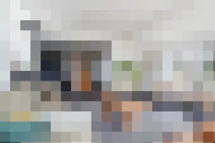 Tweede Compagnonsweg 4 Bontebok thumbnail 16