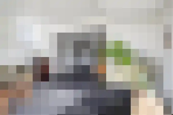 Tweede Compagnonsweg 4 Bontebok thumbnail 17