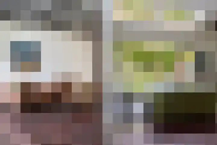 Tweede Compagnonsweg 4 Bontebok thumbnail 21