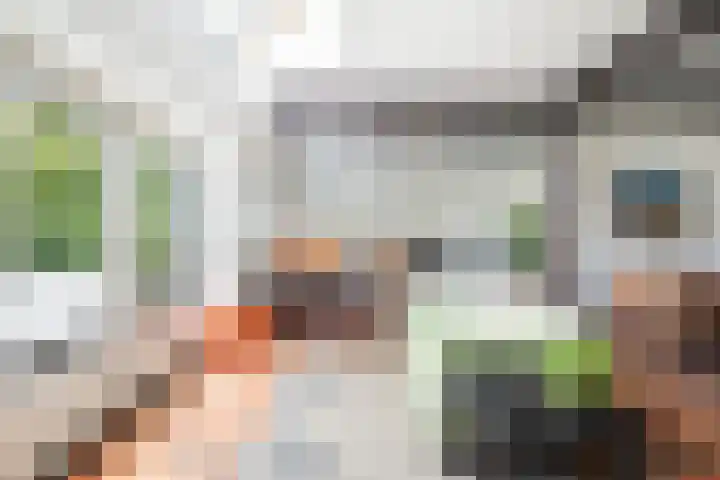 Tweede Compagnonsweg 4 Bontebok thumbnail 22