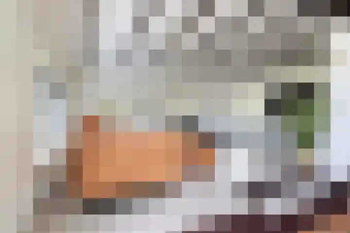 Tweede Compagnonsweg 4 Bontebok thumbnail 23