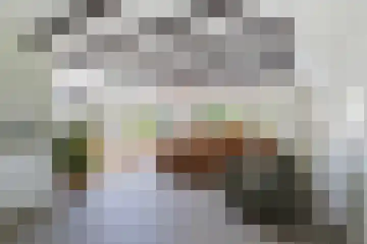 Tweede Compagnonsweg 4 Bontebok thumbnail 25