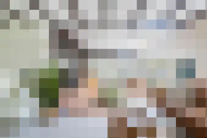 Tweede Compagnonsweg 4 Bontebok thumbnail 26