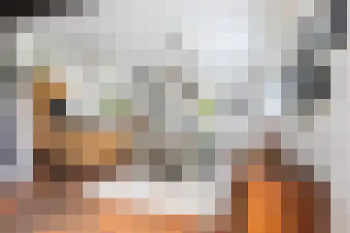 Tweede Compagnonsweg 4 Bontebok thumbnail 27