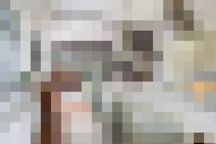 Tweede Compagnonsweg 4 Bontebok thumbnail 28