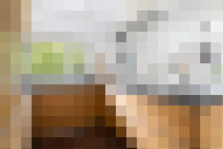 Tweede Compagnonsweg 4 Bontebok thumbnail 31