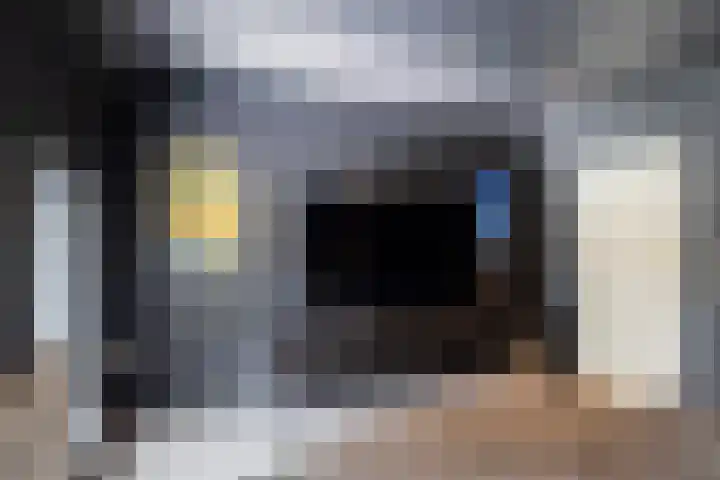 Tweede Compagnonsweg 4 Bontebok thumbnail 36