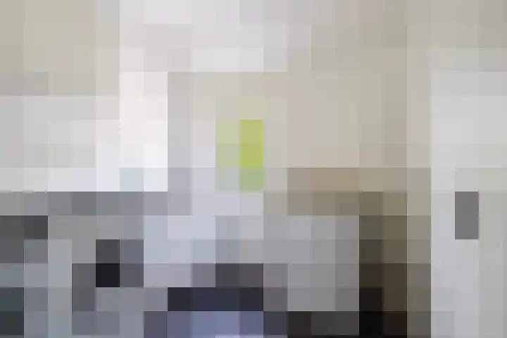 Tweede Compagnonsweg 4 Bontebok thumbnail 37