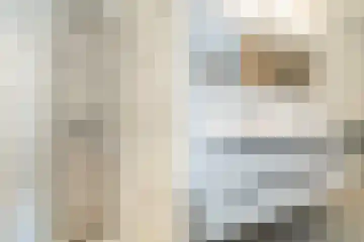 Tweede Compagnonsweg 4 Bontebok thumbnail 40