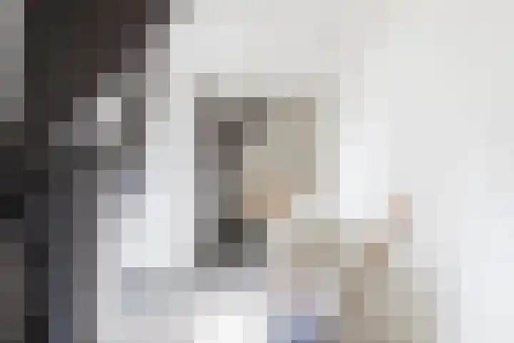 Tweede Compagnonsweg 4 Bontebok thumbnail 42