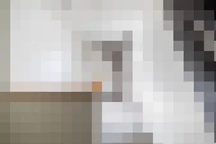 Tweede Compagnonsweg 4 Bontebok thumbnail 43