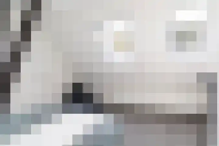 Tweede Compagnonsweg 4 Bontebok thumbnail 44