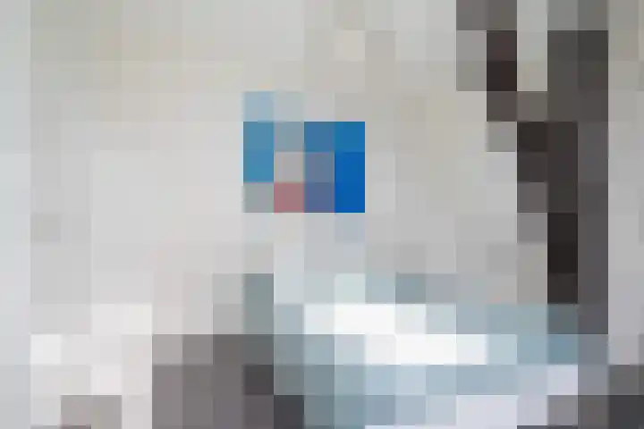 Tweede Compagnonsweg 4 Bontebok thumbnail 45
