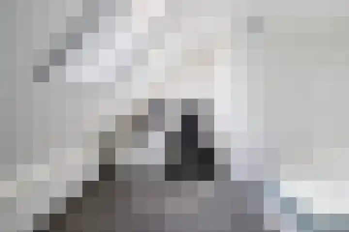 Tweede Compagnonsweg 4 Bontebok thumbnail 46