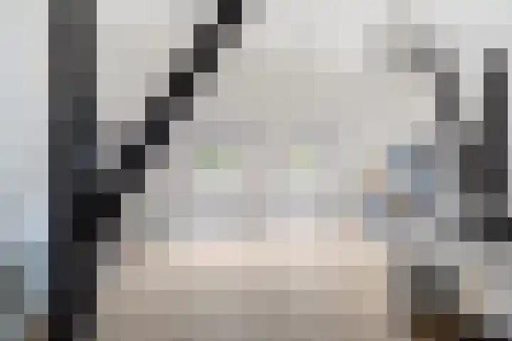 Tweede Compagnonsweg 4 Bontebok thumbnail 50