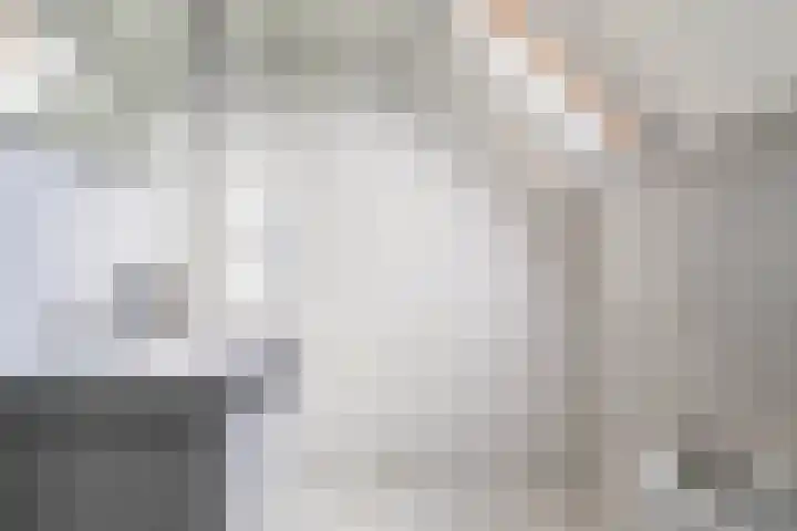 Tweede Compagnonsweg 4 Bontebok thumbnail 52