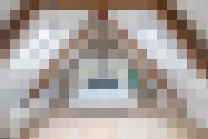 Tweede Compagnonsweg 4 Bontebok thumbnail 54