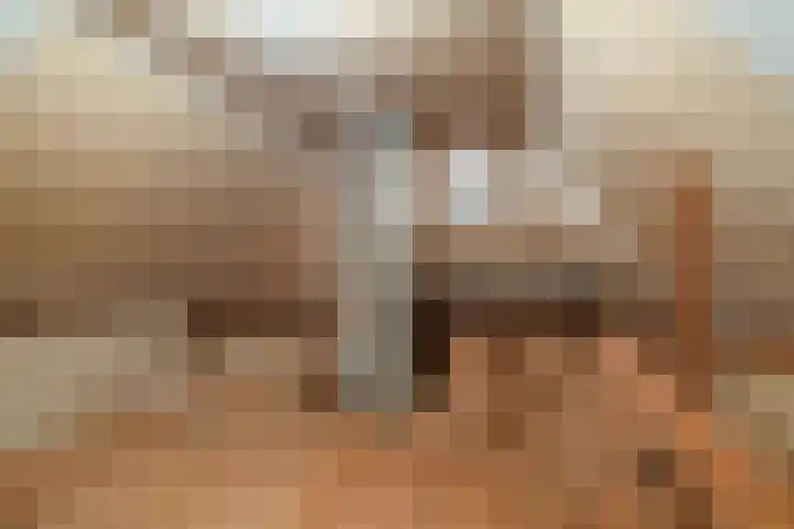 Tweede Compagnonsweg 4 Bontebok thumbnail 56