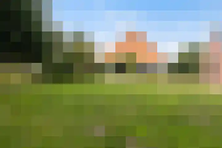 Tweede Compagnonsweg 4 Bontebok thumbnail 58