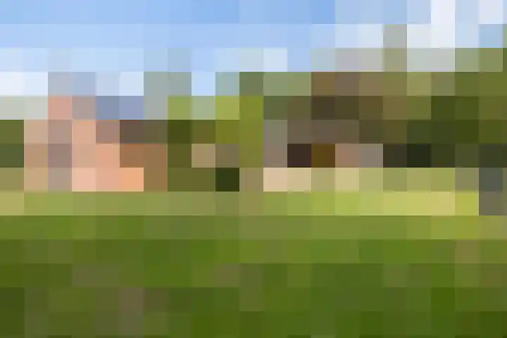 Tweede Compagnonsweg 4 Bontebok thumbnail 59