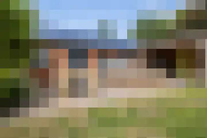 Tweede Compagnonsweg 4 Bontebok thumbnail 60
