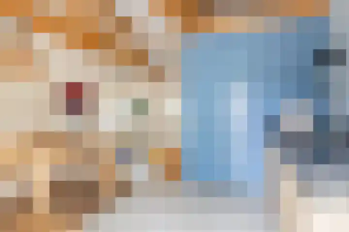 Tweede Compagnonsweg 4 Bontebok thumbnail 61