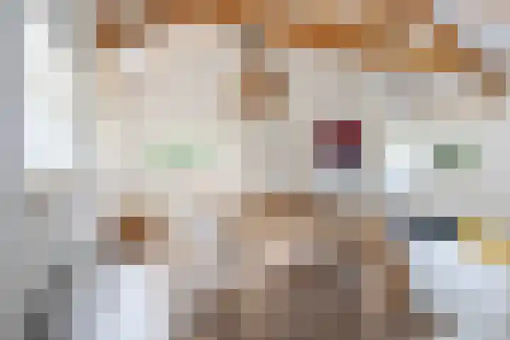 Tweede Compagnonsweg 4 Bontebok thumbnail 62