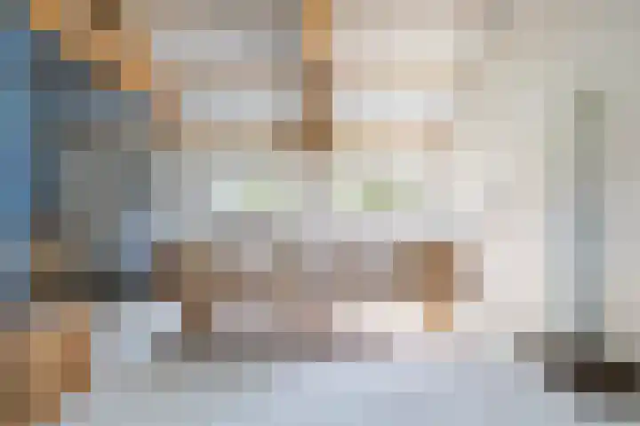 Tweede Compagnonsweg 4 Bontebok thumbnail 65