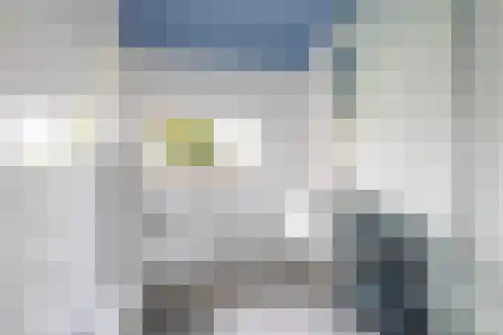 Tweede Compagnonsweg 4 Bontebok thumbnail 67
