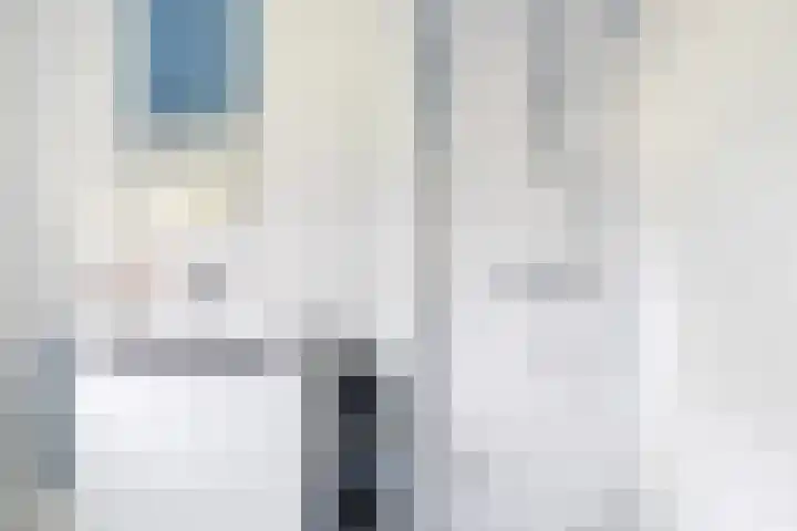 Tweede Compagnonsweg 4 Bontebok thumbnail 68