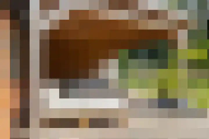 Tweede Compagnonsweg 4 Bontebok thumbnail 71