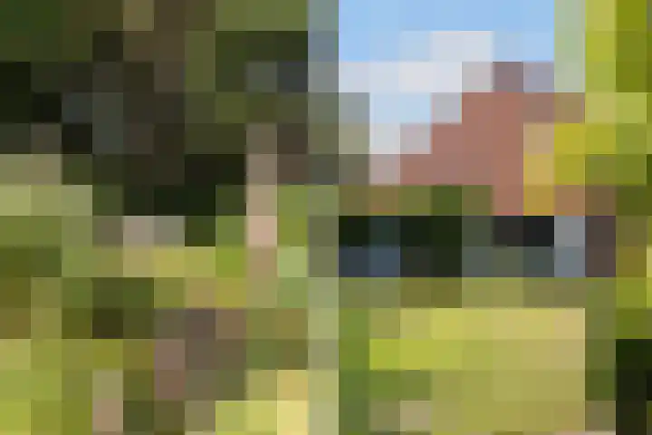 Tweede Compagnonsweg 4 Bontebok thumbnail 72