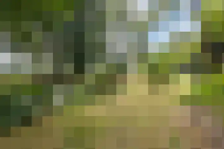 Tweede Compagnonsweg 4 Bontebok thumbnail 73
