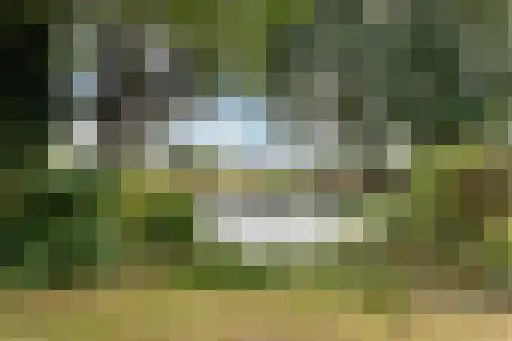Tweede Compagnonsweg 4 Bontebok thumbnail 74