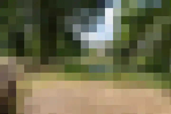Tweede Compagnonsweg 4 Bontebok thumbnail 75