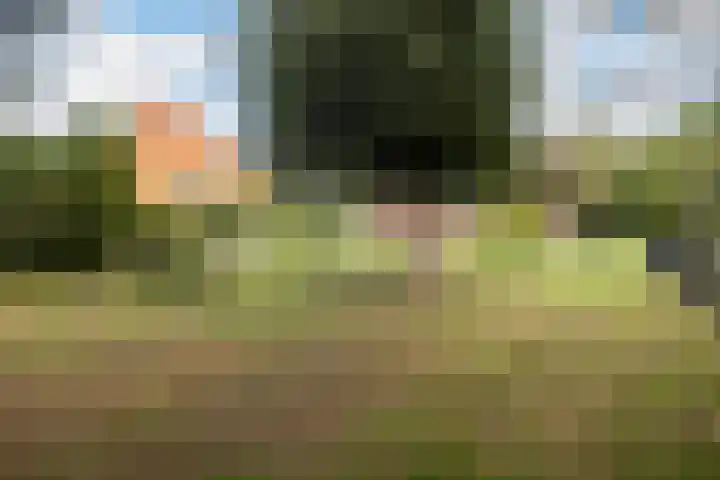 Tweede Compagnonsweg 4 Bontebok thumbnail 76