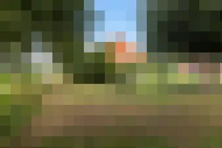 Tweede Compagnonsweg 4 Bontebok thumbnail 77