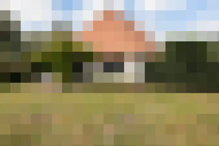 Tweede Compagnonsweg 4 Bontebok thumbnail 78