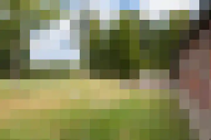 Tweede Compagnonsweg 4 Bontebok thumbnail 79