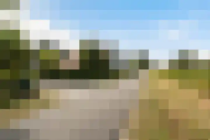 Tweede Compagnonsweg 4 Bontebok thumbnail 8