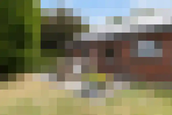 Tweede Compagnonsweg 4 Bontebok thumbnail 80