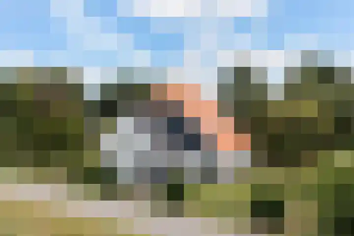 Tweede Compagnonsweg 4 Bontebok thumbnail 83