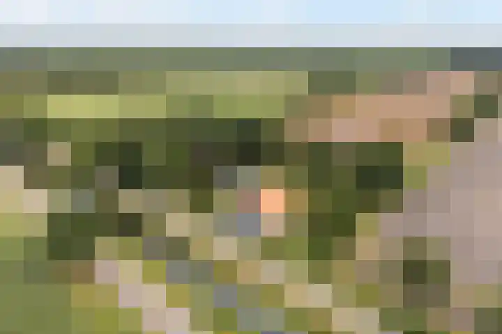 Tweede Compagnonsweg 4 Bontebok thumbnail 84