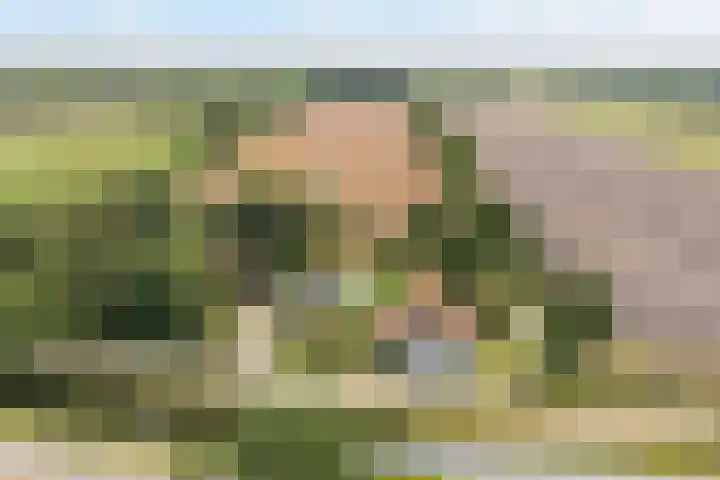 Tweede Compagnonsweg 4 Bontebok thumbnail 85