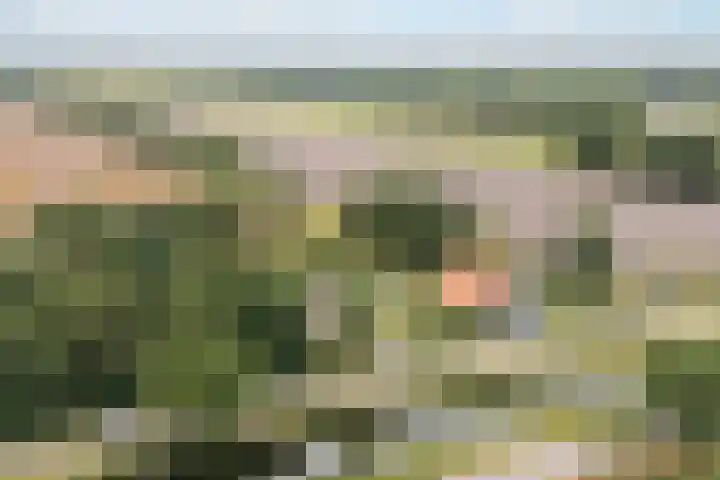 Tweede Compagnonsweg 4 Bontebok thumbnail 86